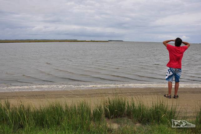 Procurando pássaros no Parque Nacional da Lagoa do Peixe, no sul do Rio Grande do Sul, entre a Lagoa dos Patos e o Oceano Atlântico
